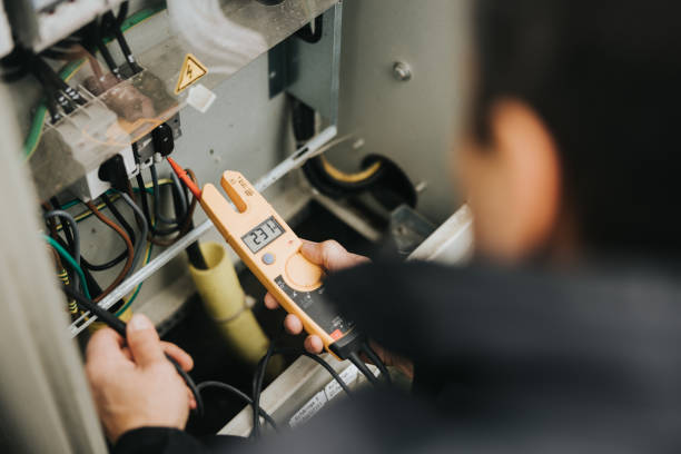 Best Electric Panel Repair  in Lake Jackson, TX